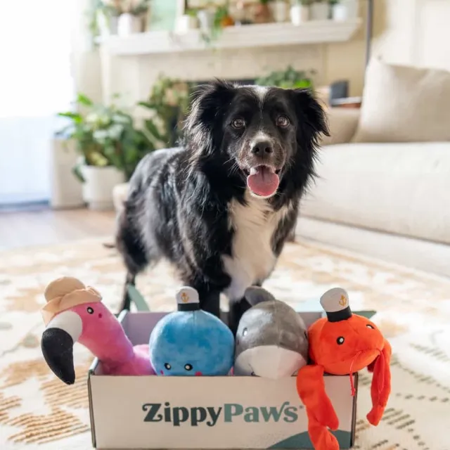 【ZippyPaws】海底總動員-頑皮系列(狗狗玩具 寵物玩具 有聲玩具)