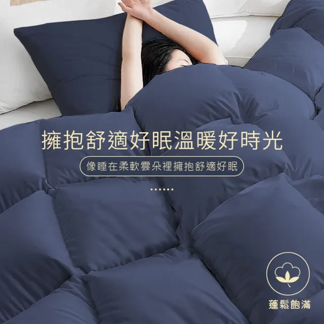 【Sleep Peacefully 寢室安居】買1送1 3M銀離子抗菌可水洗烘乾四季被-雙人(棉被/冬被)