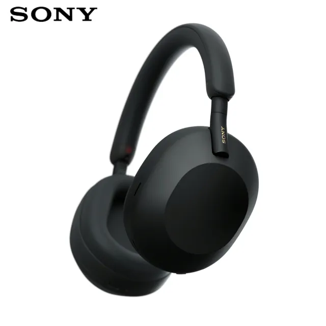 【美品】WH-1000XM5 + Earprofit (M55) セット Sony WH-1000XM5 Wireless Industry Leading Active Noise Cancelling