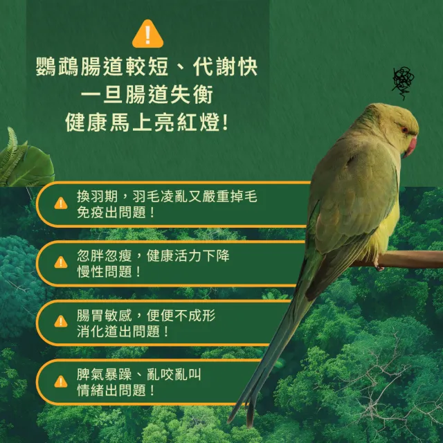 【WeWant 威旺】鸚鵡用益生菌+益生元-超能7菌配方 30g/罐(鳥類保健/鳥益生菌/鸚鵡/鳥)