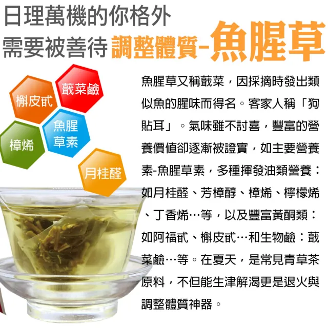 【蔘大王】魚腥草抵禦茶包X8組（6gX10入/組）(長效期版 保護養身 打好基礎 調解生理機能)