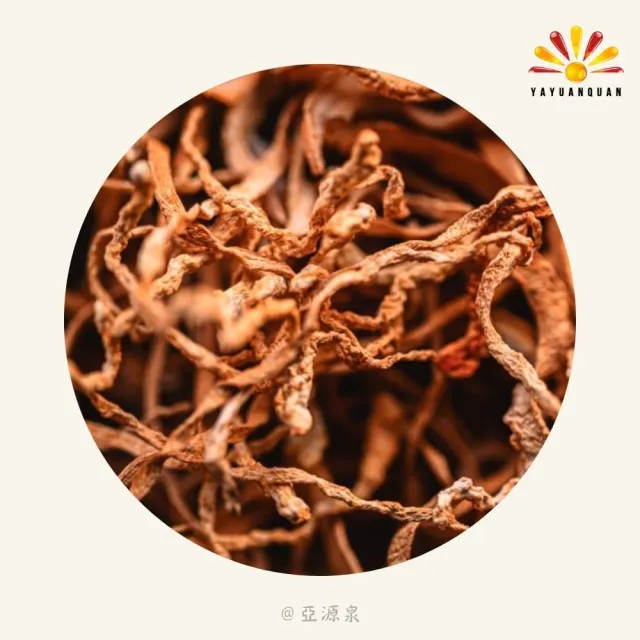 【亞源泉】北蟲草 200g/包 蟲草花 黃金蟲草 1入組(北蟲草 蟲草花 蛹蟲草)