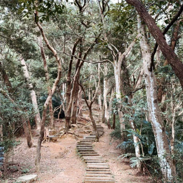 【大板根森林溫泉酒店】太子雙人客房含早餐(含森林入園門票+露天溫泉SPA)