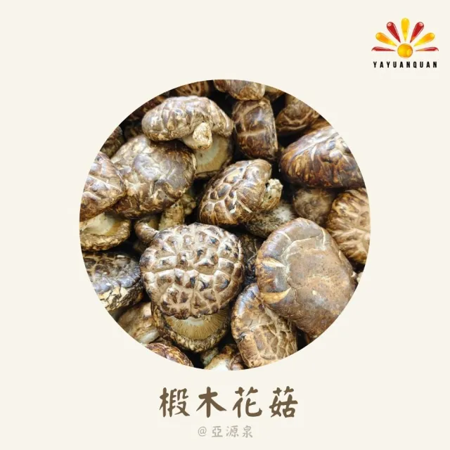 【亞源泉】椴木花菇  量批發 1公斤