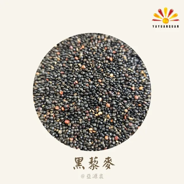 【亞源泉】藜麥量批發 紅/白/黑 三種任選  10公斤(三種藜麥任選)