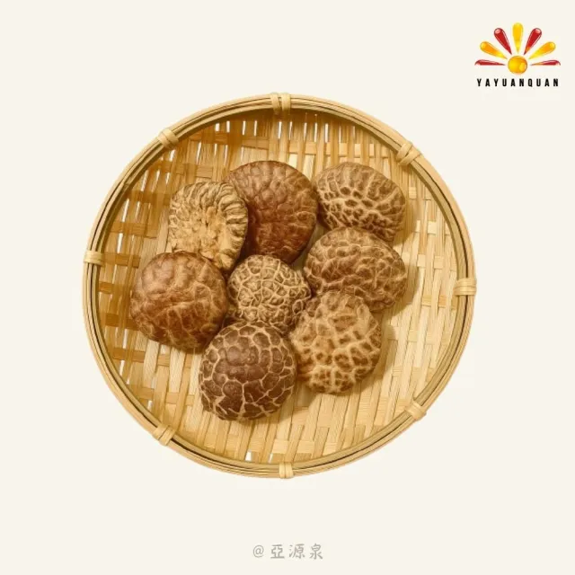 亞柏林 椴木花菇 量批發 1公斤