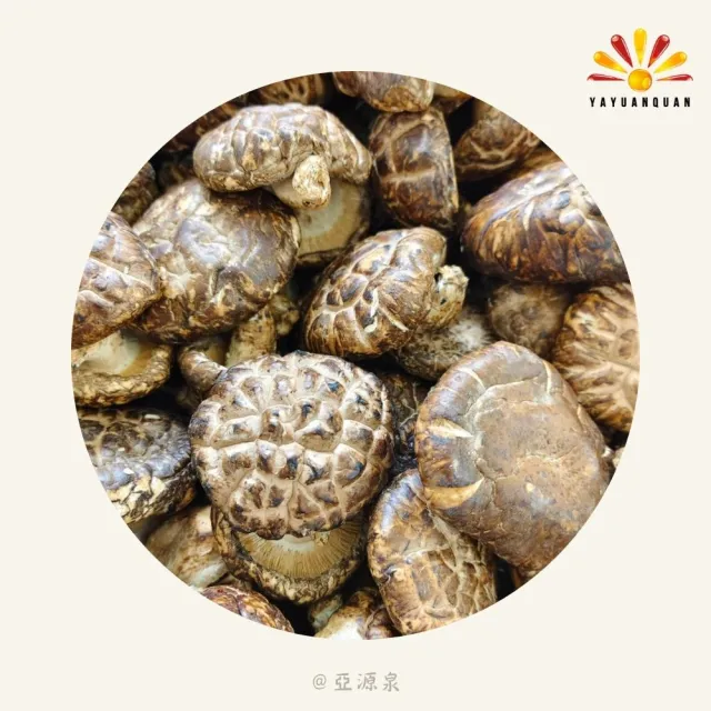 亞柏林 椴木花菇 量批發 1公斤