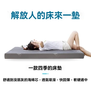 【超微米】記憶床墊 10cm厚(雙人加大床墊180x200cm 海綿床墊)