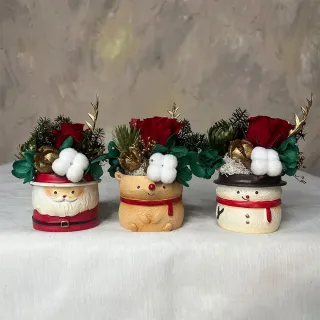 【OSTARA FLORIST 奧斯塔拉花藝】聖誕小盆花/附透明盒(永生花、聖誕節、交換禮物、盆花)