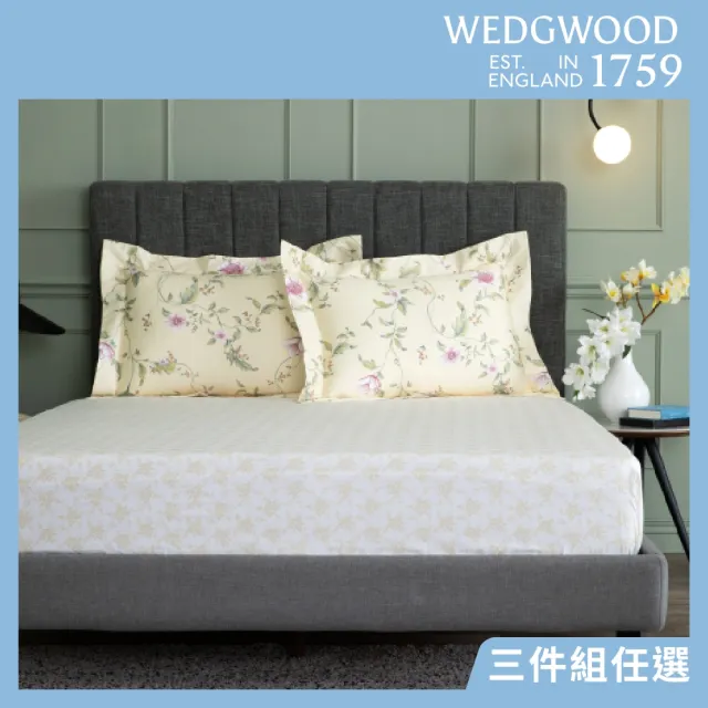 【WEDGWOOD】經典印花 床包枕套三件組(雙人｜天絲/長纖棉 任選)