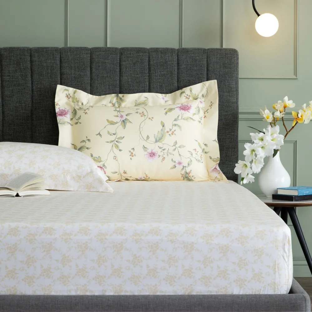 【WEDGWOOD】經典印花 床包枕套三件組(特大｜天絲/長纖棉 任選)