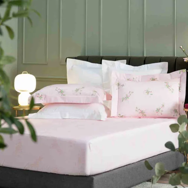 【WEDGWOOD】經典印花 床包枕套三件組(特大｜天絲/長纖棉 任選)