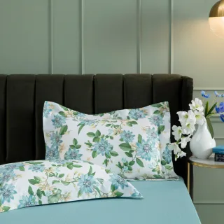 【WEDGWOOD】經典印花 床包枕套三件組(加大｜天絲/長纖棉 任選)