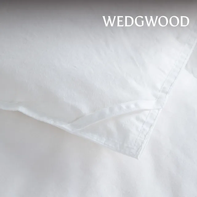 【WEDGWOOD】90%法國白鴨絨 抗菌羽絨薄被(加大 240x210cm｜填充600g)