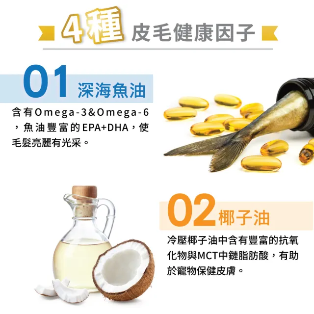 【Balance 博朗氏】美毛魚油幼母貓飼料7kg*2入組 (幼貓飼料/懷孕貓飼料/貓乾糧/貓糧/美毛飼料/官方直營)