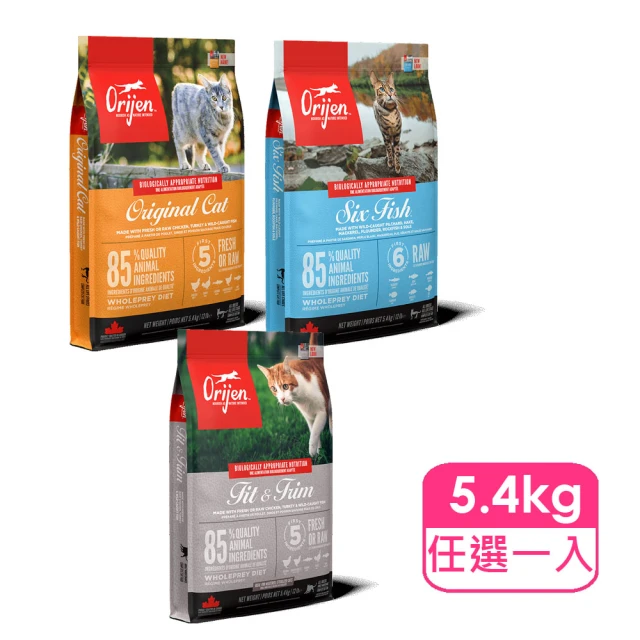 貓飼料