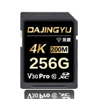 【大鯨魚】256G SDXC UHS-I V30 SD卡 200MB/s 黑鑽Pro系列(記憶卡)