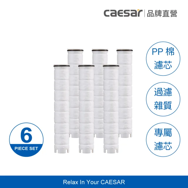 【CAESAR 凱撒衛浴】極淨純水蓮蓬頭濾芯６入組(PP 過濾綿)