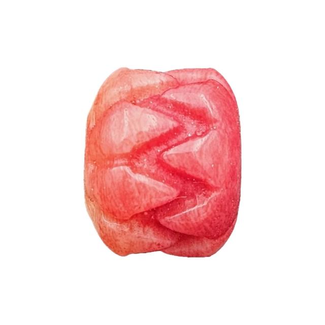 【藏古祥館】藏古祥館-天珠 唐卡 N 100(宗教開運 直播限定)