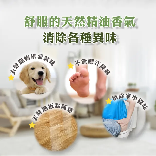 【綠森活】驅蟲職人-地板專用清潔劑2入(MIT台灣製造/天然植物精油/長效驅蟲/不傷害兒童及毛小孩)