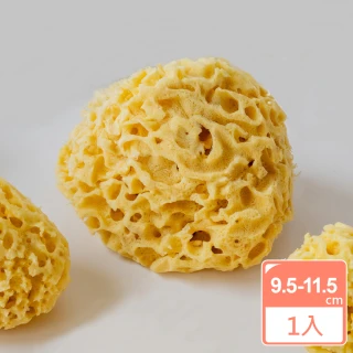 【BIOESTI】希臘地中海天然海綿蜂巢款9.5-11.5公分 一盒一入(洗臉/洗澡沐浴用)