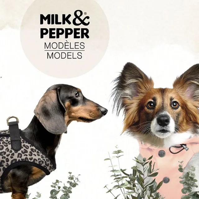 【瑪頌·波美特】Milk & Pepper 朵依羽絨小鹿 狗狗玩具(Maison Pomette)