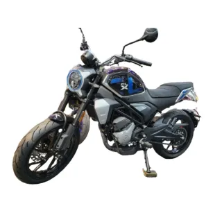 【CFMOTO】現車買就送機油5罐/春風250CL-X(白牌擋車/機車/公司車)