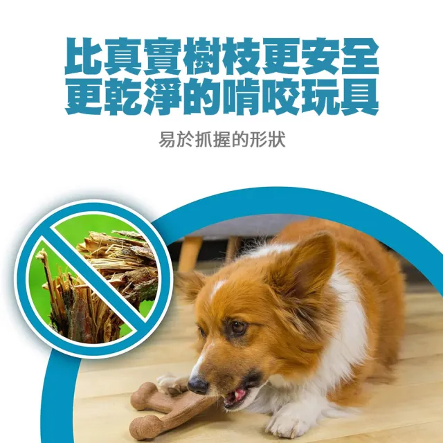 【Petstages】四角史迪克 寵物玩具 培根風味 中型犬大型犬適用 磨牙棒 潔牙 耐咬 狗玩具