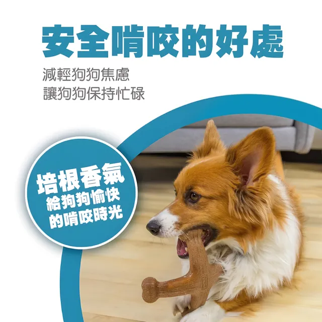 【Petstages】四角史迪克 寵物玩具 培根風味 中型犬大型犬適用 磨牙棒 潔牙 耐咬 狗玩具