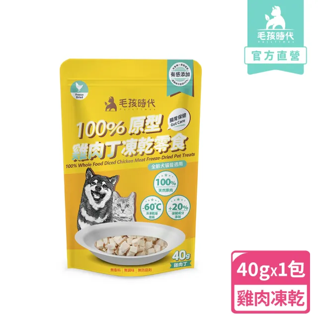 | BALIMAN情報局 【2026】毛孩時代推薦10款高評價人氣品牌排行榜 | BALIMAN情報局