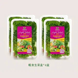 【源鮮智慧農場】舒活輕食箱(生菜、沙拉、萵苣、水耕蔬菜)