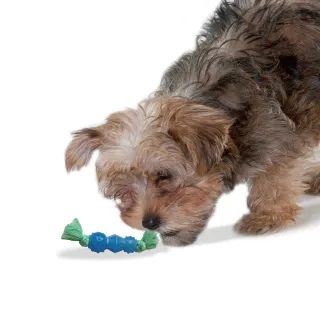 【Petstages】ORKA 歐卡健齒3合1組 寵物玩具 迷你款 潔牙 耐咬 狗玩具