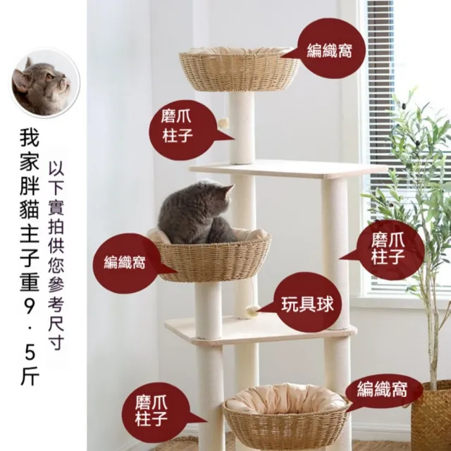 【艾嘉圖】貓爬架 貓窩貓樹一體 貓抓板 貓架子太空艙 貓跳台 貓咪玩具(大型貓爬架60*60*145)