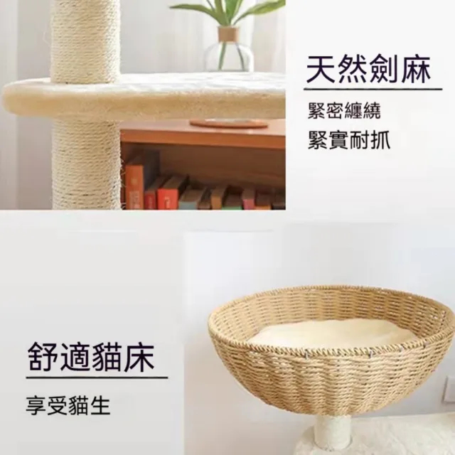 【艾嘉圖】貓爬架 貓樹貓抓板 劍麻抓柱 貓跳台 貓玩具 一體多層貓窩(小型貓爬架48*48*130)