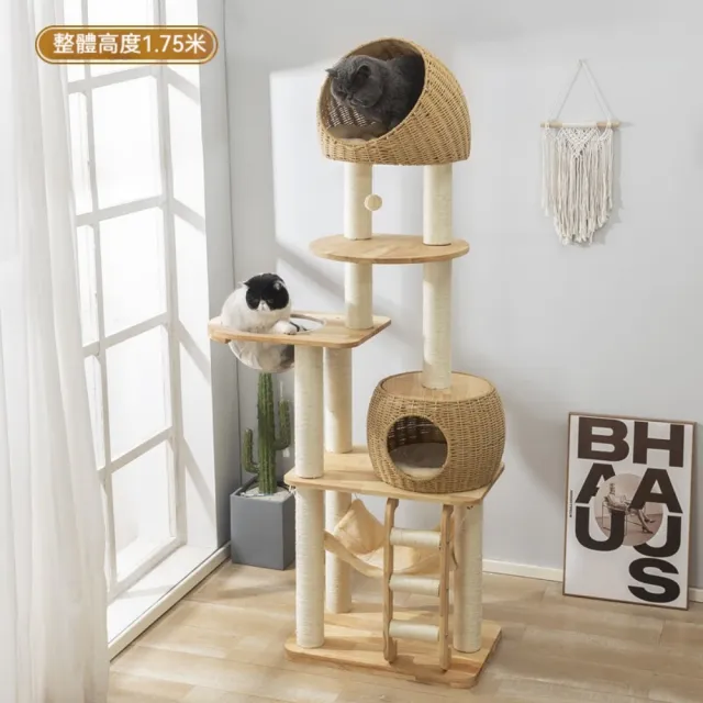 【艾嘉圖】貓爬架 貓窩一體 耐抓耐用穩固貓抓板 多貓可用 貓咪玩具 貓樹架子(大型貓爬架59*39*175)
