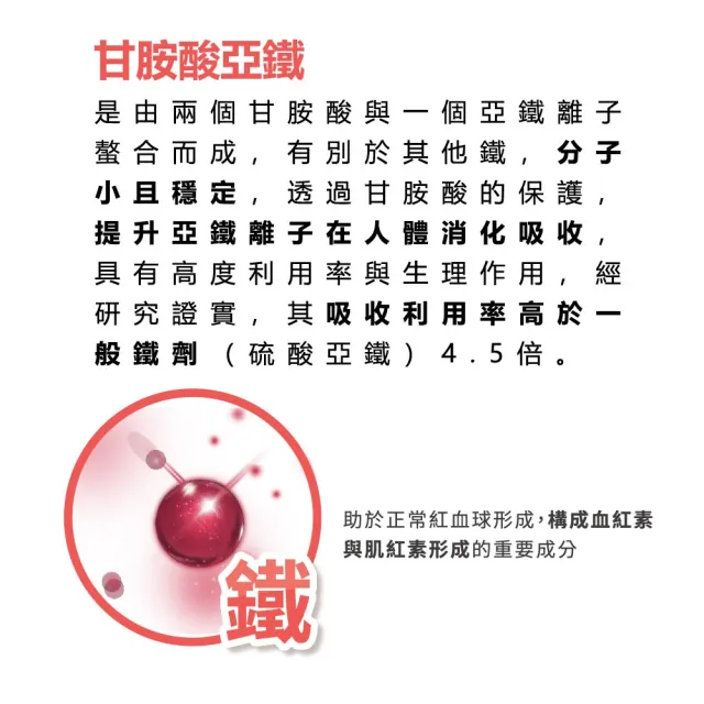 【宏醫】百大蔬果酵素素食B群+鐵鋅 30粒/盒(6入-90日活力組)