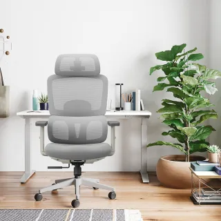 【DEPE 德邁國際】BPFC900(辦公椅/電腦椅/電競椅/工學椅 IONRAX.co.ltd)