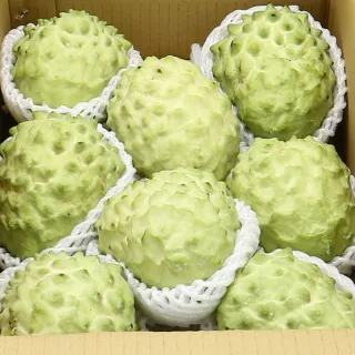 【愛蜜果】台東鳳梨釋迦9-11顆原裝箱(約10斤/箱)