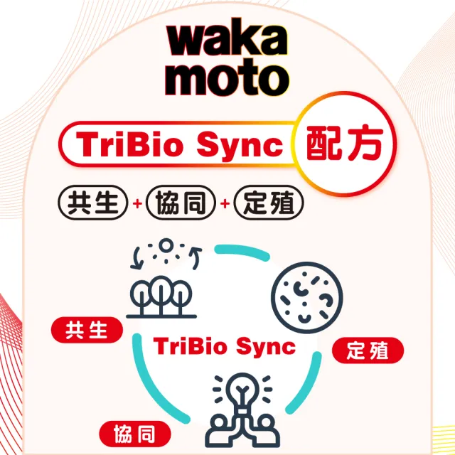 【Wakamoto】若元益生菌 兩瓶組(220錠/瓶_食品、獨家高活性WB菌、TriBio Sync配方、使排便順暢、日本原裝)