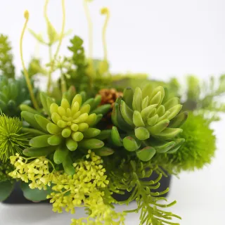 【HUGO DECO 榆果傢飾】拾光角落多肉石蓮香氛植物(擬真花/人造盆栽/綠化/佈置/禮物)