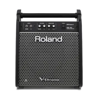 【ROLAND 樂蘭】PM-100 全音域電子鼓監聽音箱 80瓦／世界標竿(PM100 樂器音箱 鍵盤音箱 監聽 音響 錄音)
