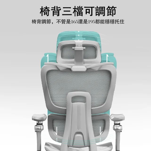 【C&D】專家級雙享人體工學椅(高彈力透氣網布&加贈海綿套柔軟坐墊)