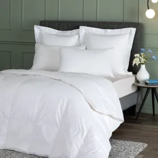 【WEDGWOOD】90%波蘭白鵝絨 抗菌羽絨舒眠被 冬被(雙人 180x210cm)