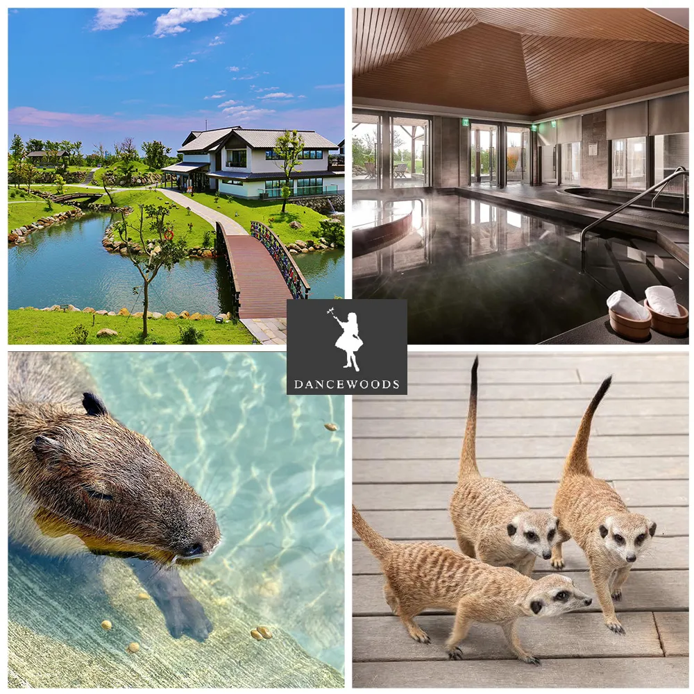 綠舞觀光飯店】好評買1送1☆風呂浴場或泳池(2擇1)+日式園區(假日不加價) - momo購物網- 好評推薦-2026年1月