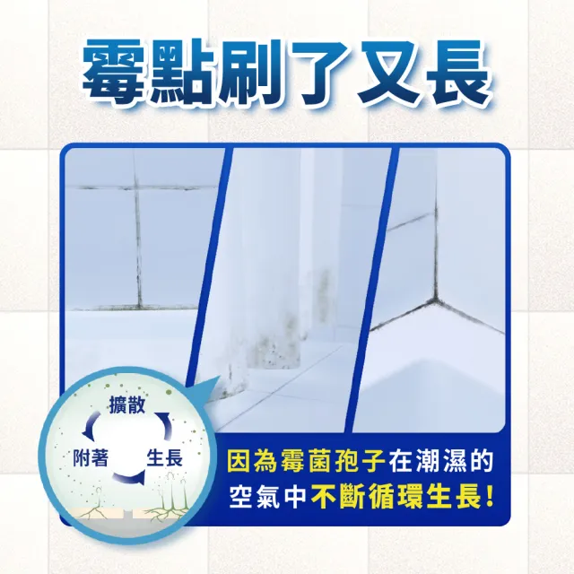 【風倍清】浴廁用防霉防臭劑/芳香劑4入組(2入裝X2-柔和花香/清新柑橘 任選)