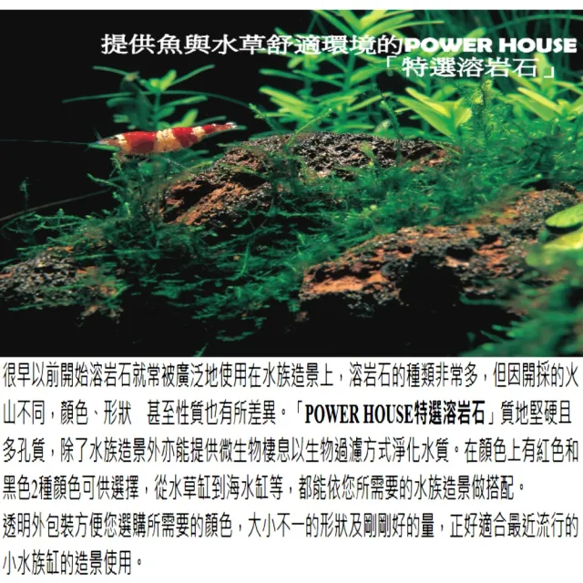 【Power House】黑紅色 火山石 赤特選火山溶岩石/熔岩紅/質地堅硬且多孔質(水草、海水魚缸適用 日本製)