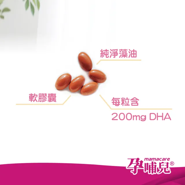 【mamacare 孕哺兒】媽媽藻油DHA★軟膠囊60粒/盒(寶寶聰明起跑)