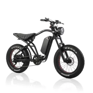 【CyberCycle】Rhino犀牛-高階版 120KM 高續航胖胎車(48V 15AH/越野電輔車)