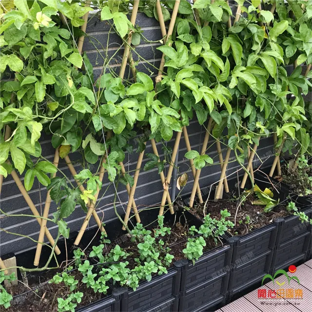 【田園樂】育材雙層雙連通種植箱+金屬輪1.5吋*6(組合種菜箱/深根植物栽培/可選側板/金屬輪子方便移動)