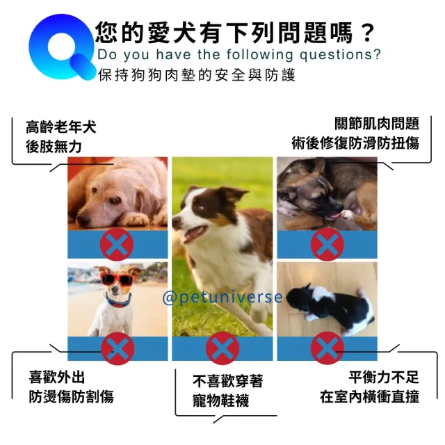 【Pet Universe 多寵宇宙】狗狗止滑貼-24入(寵物止滑貼 寵物足貼 狗狗腳貼 狗狗防滑貼 寵物腳貼 狗狗足貼)